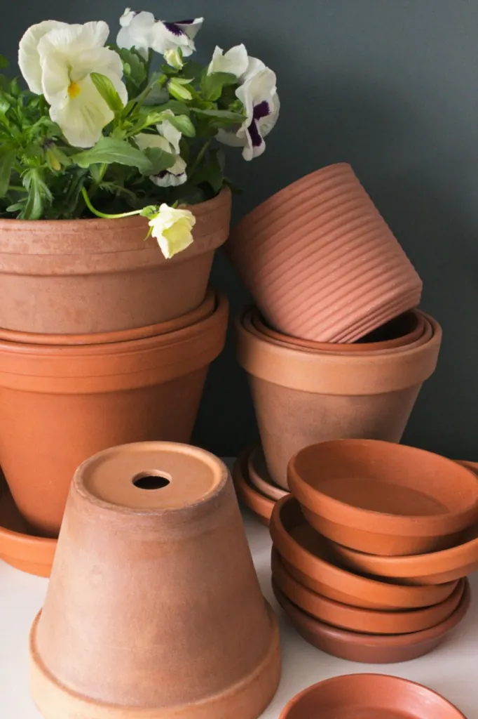 Plant Pots