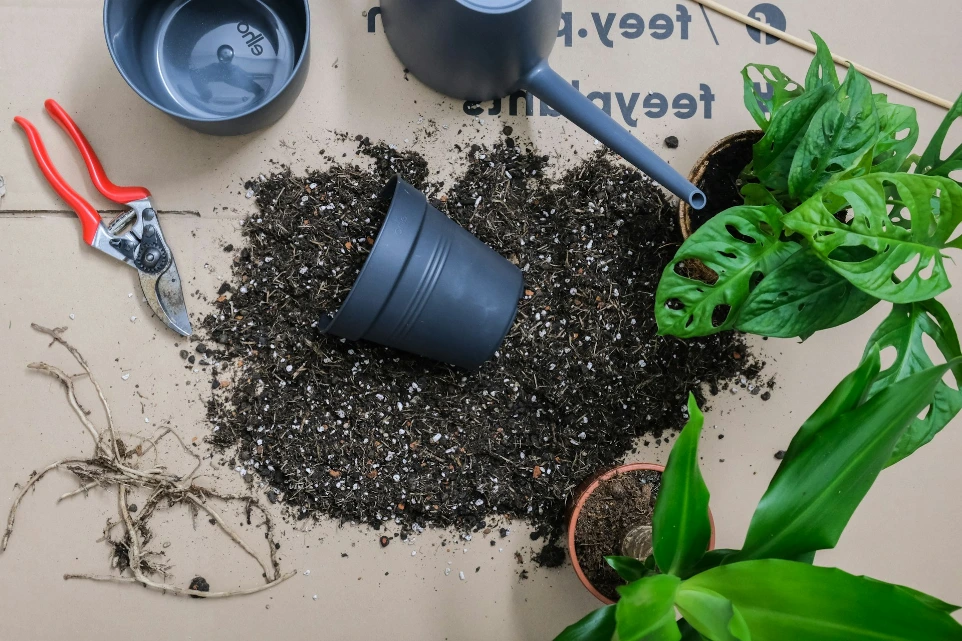 Potting mix