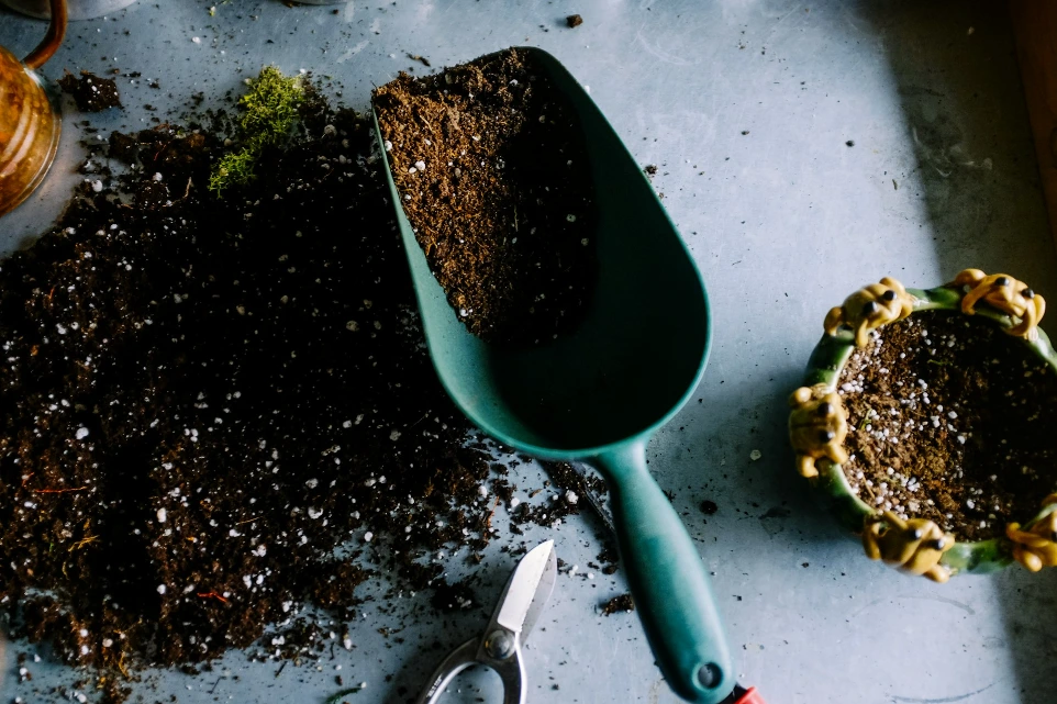 Organic Compost